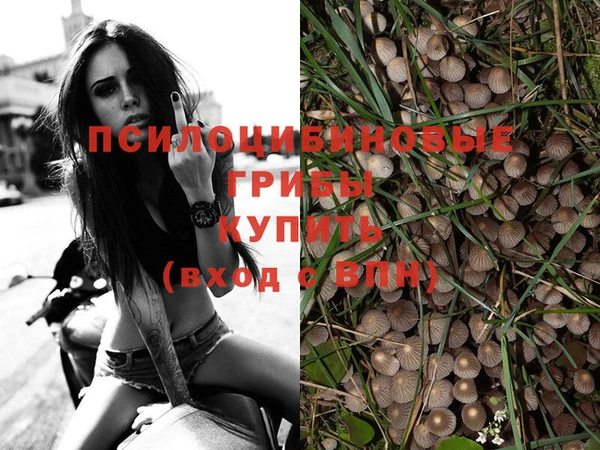 марки lsd Гусь-Хрустальный