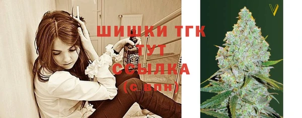 таблы Дмитриев