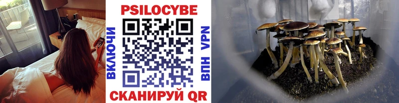 ссылка на мегу сайт  Ильский  Псилоцибиновые грибы мухоморы  как найти наркотики 